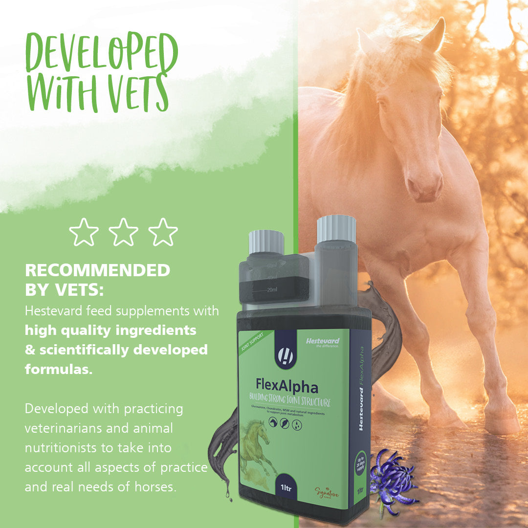 Hestevard FlexAlpha