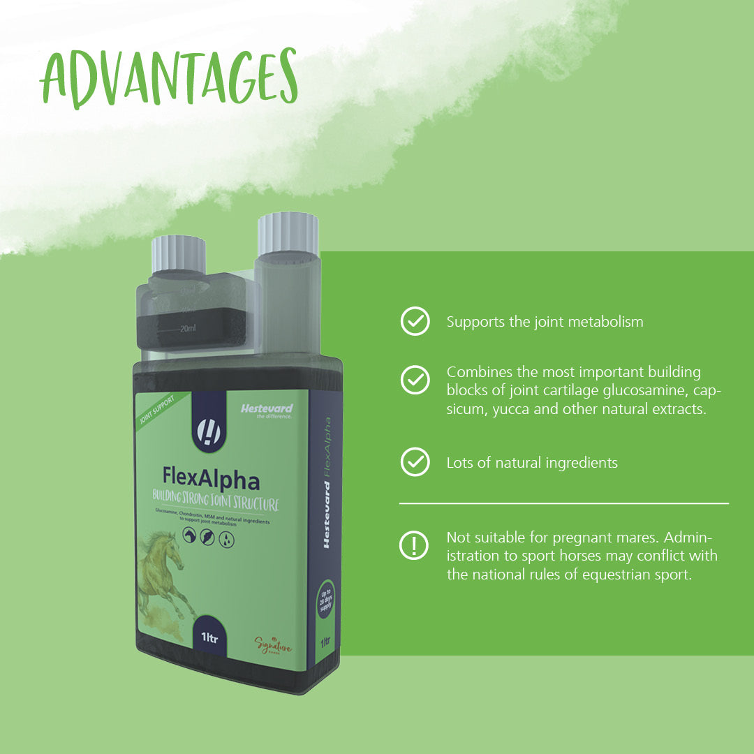 Hestevard FlexAlpha