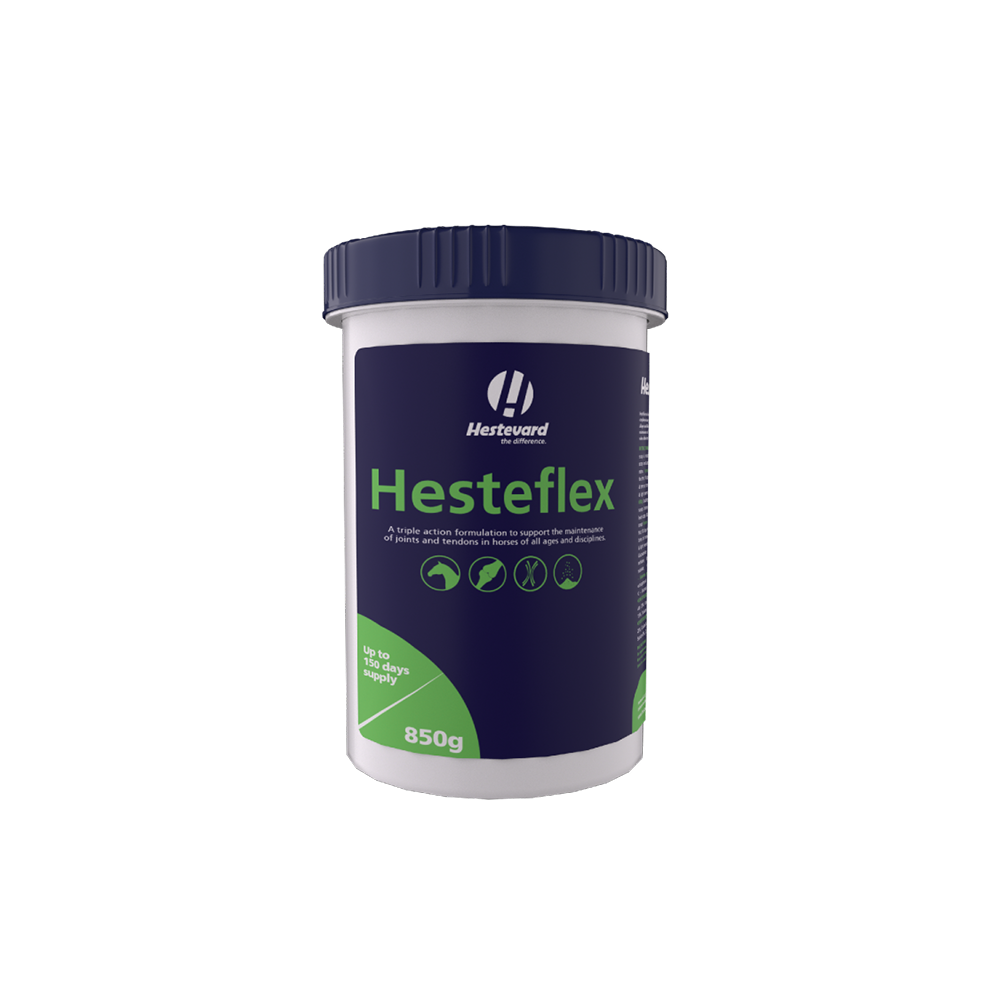 Hestevard Hesteflex