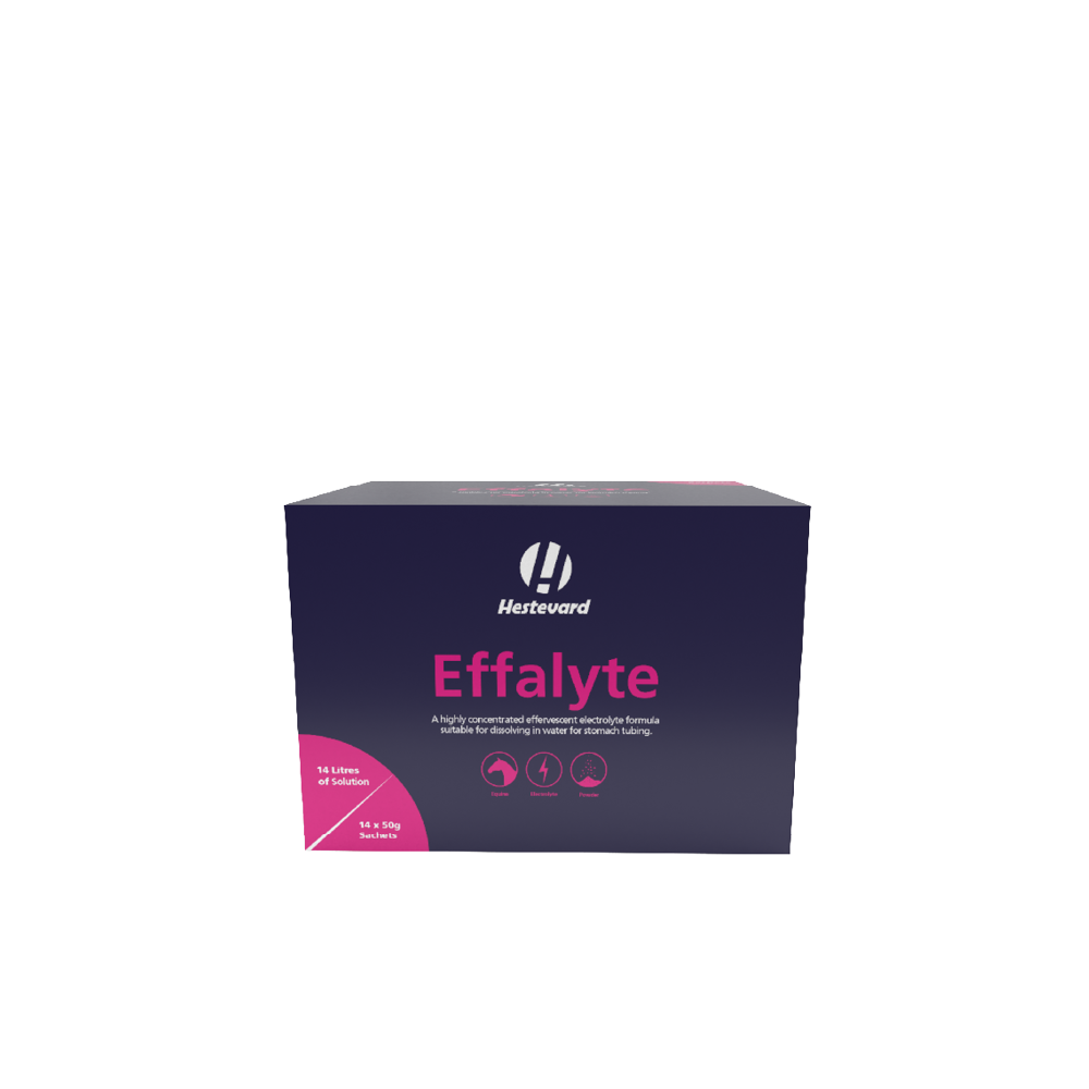 Hestevard Effalyte 14 x 50g