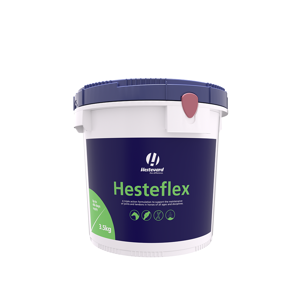 Hestevard Hesteflex