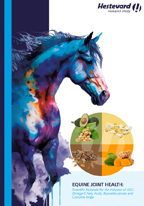 EQUINE JOINT HEALTH 1: