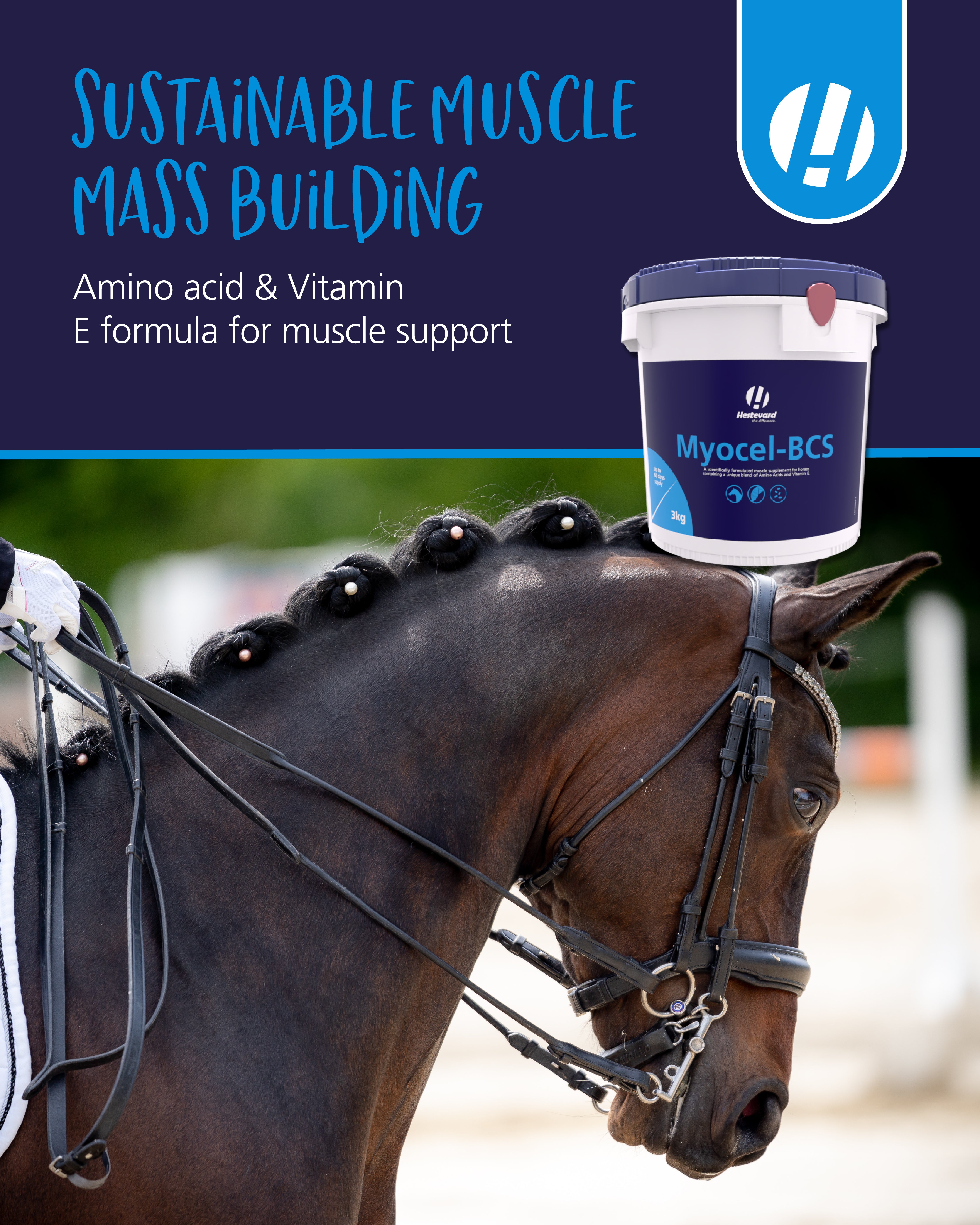 Hestevard Myocel-BCS