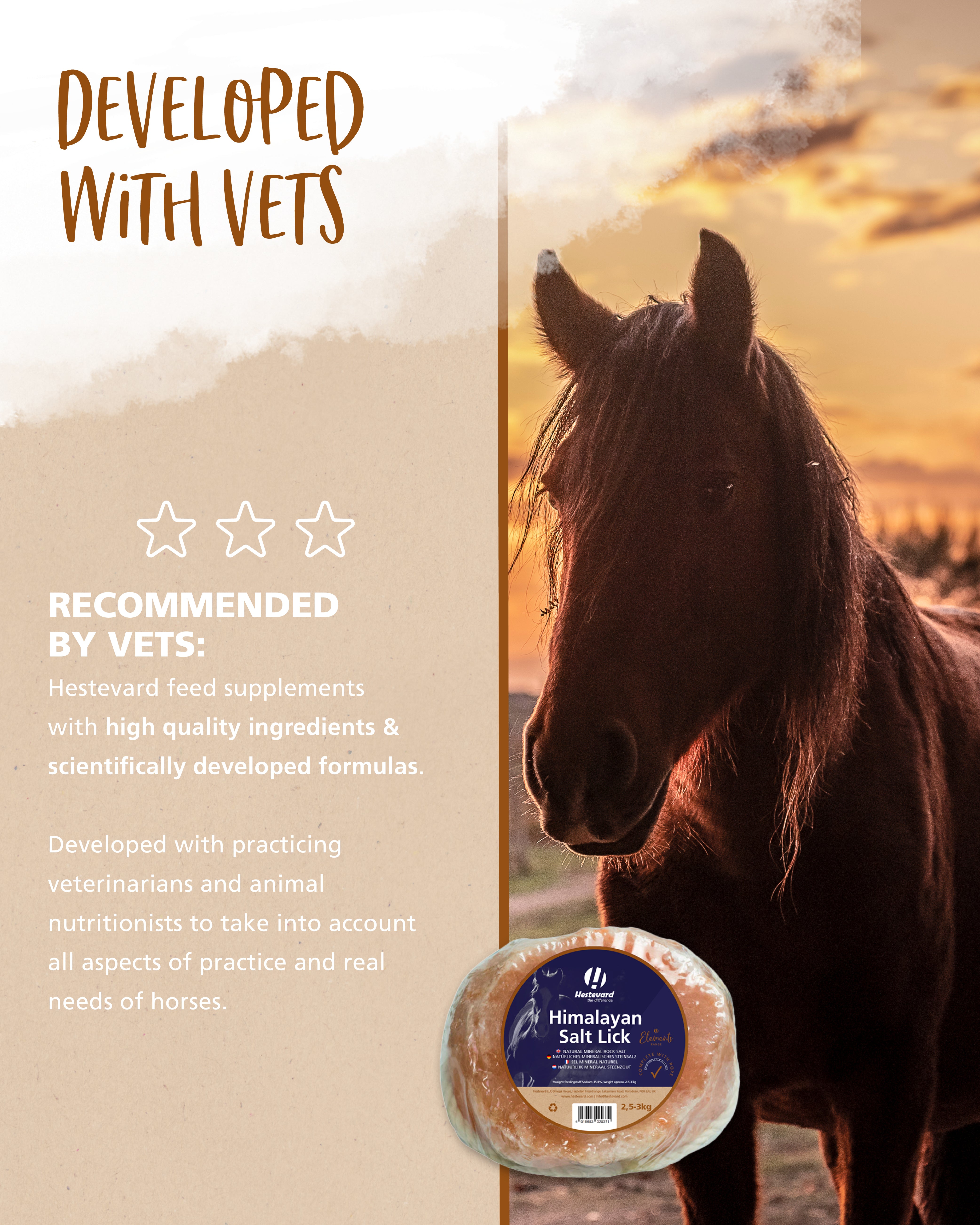 Hestevard Himalayan Salt Lick