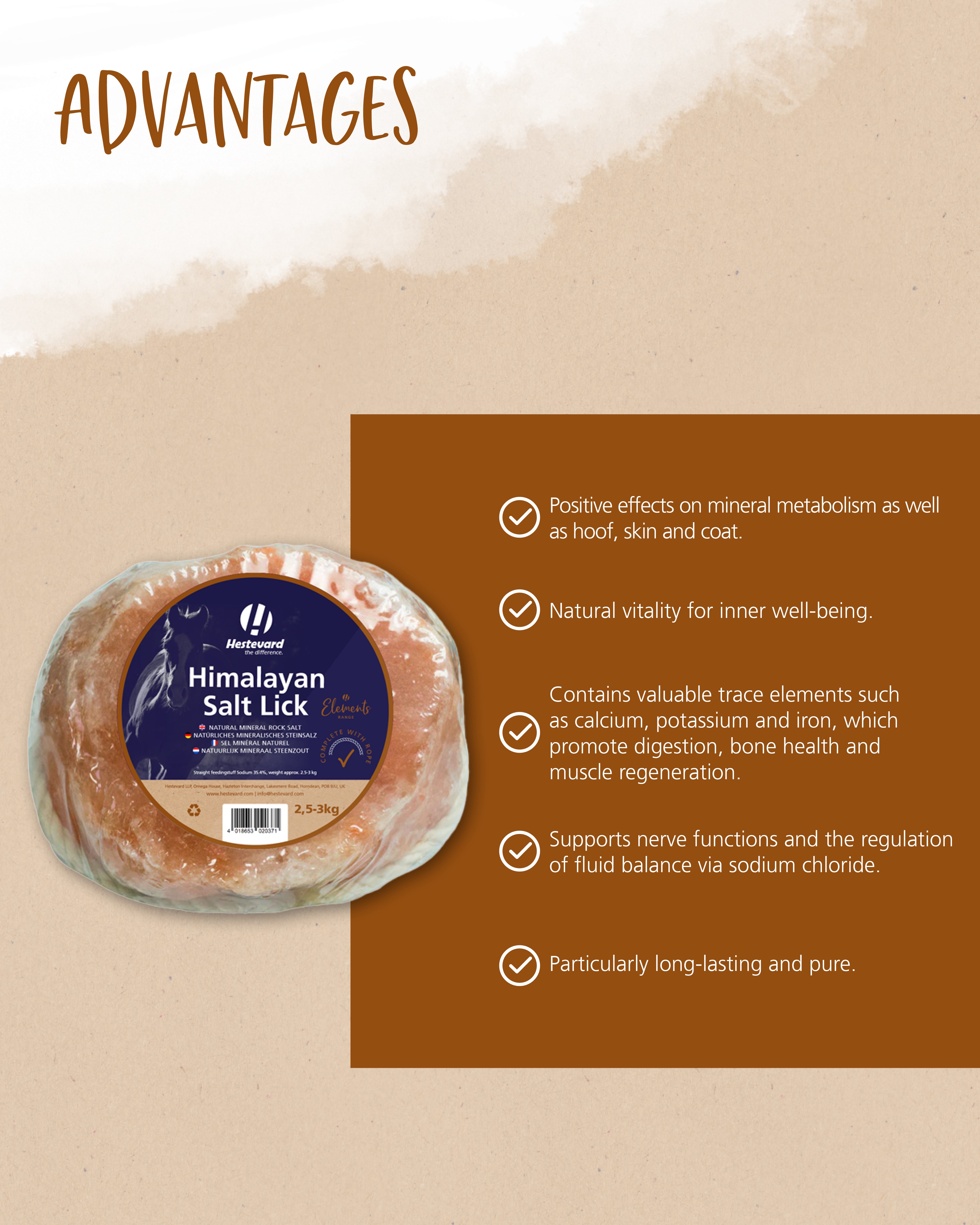 Hestevard Himalayan Salt Lick