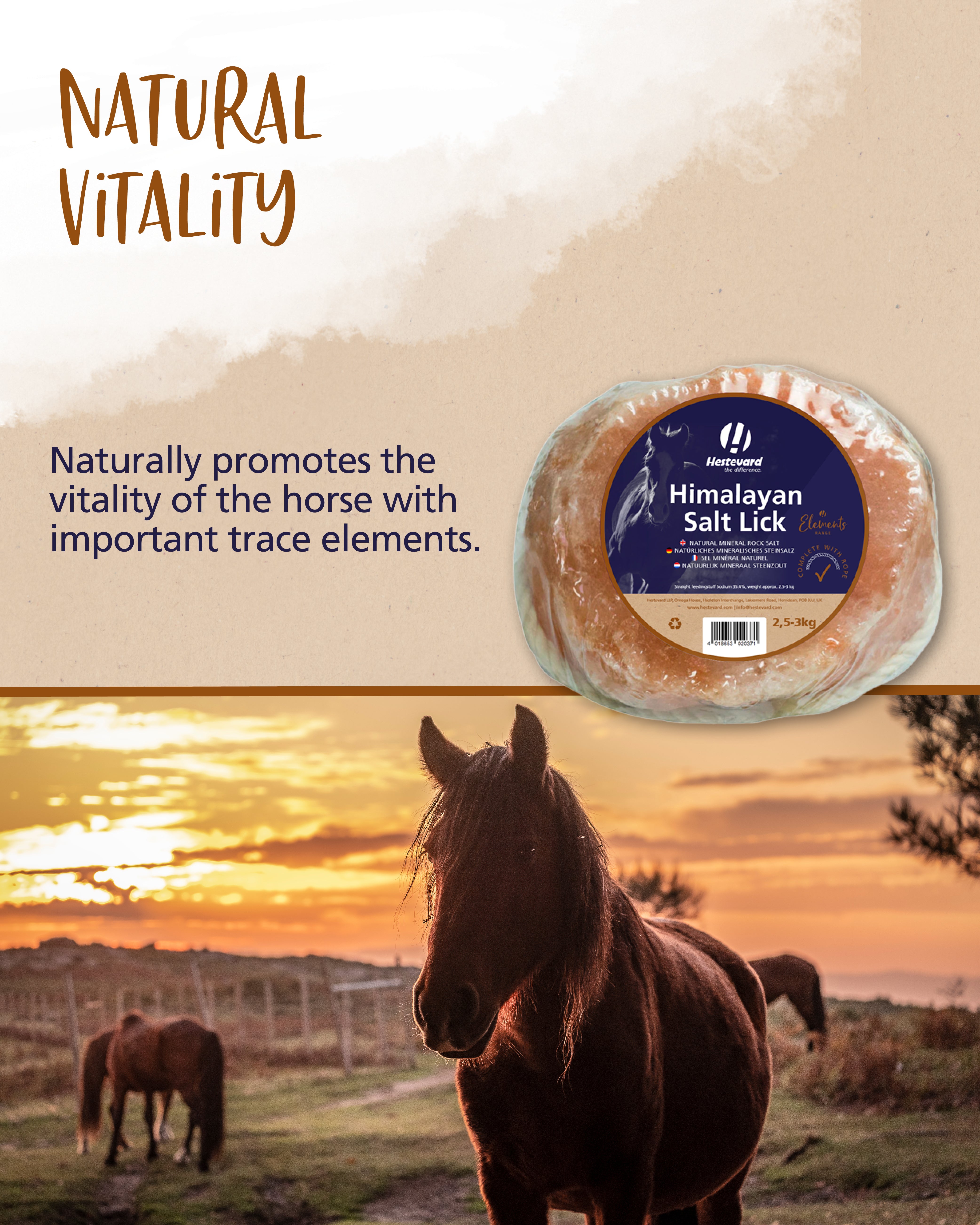 Hestevard Himalayan Salt Lick