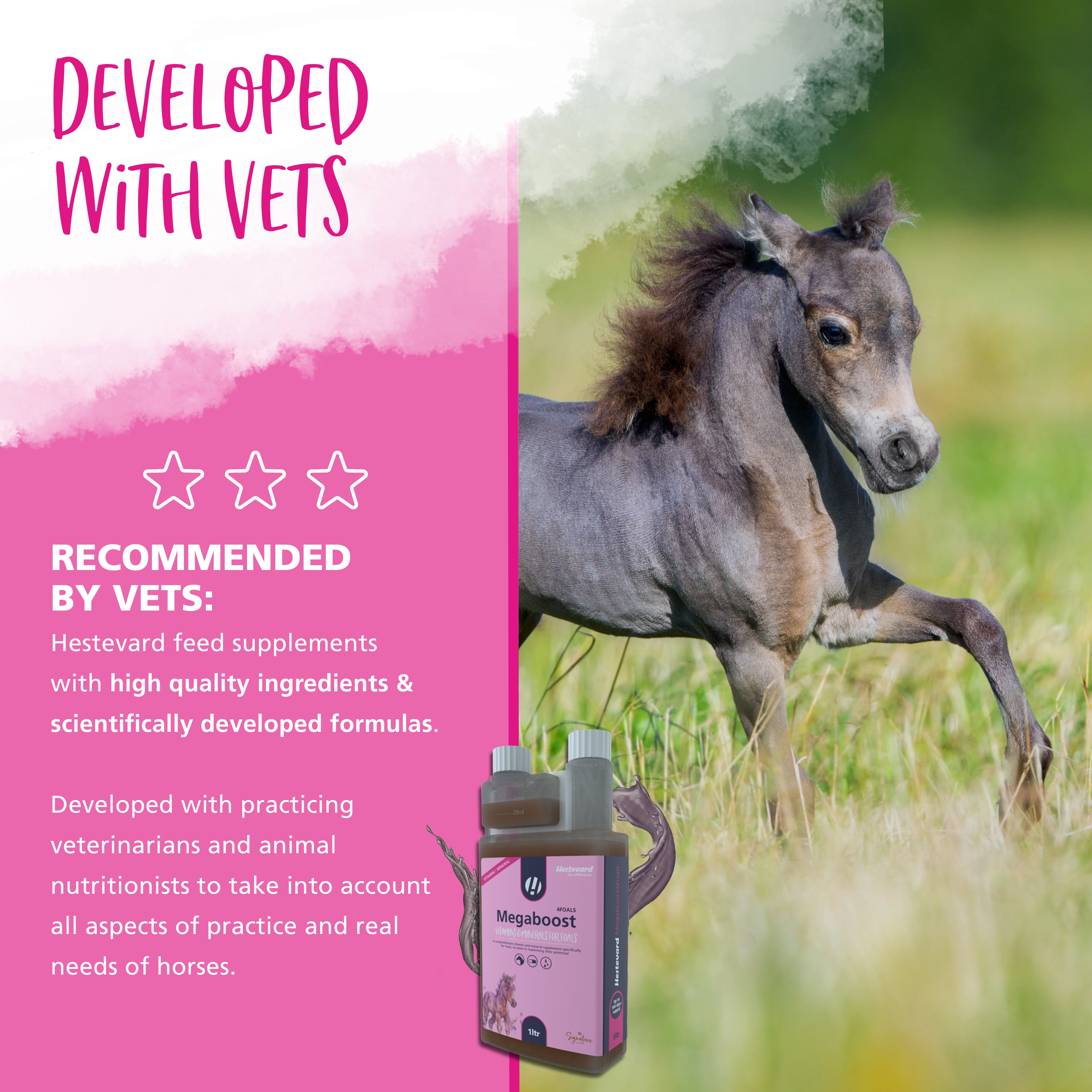 Hestevard MegaBoost 4 Foals