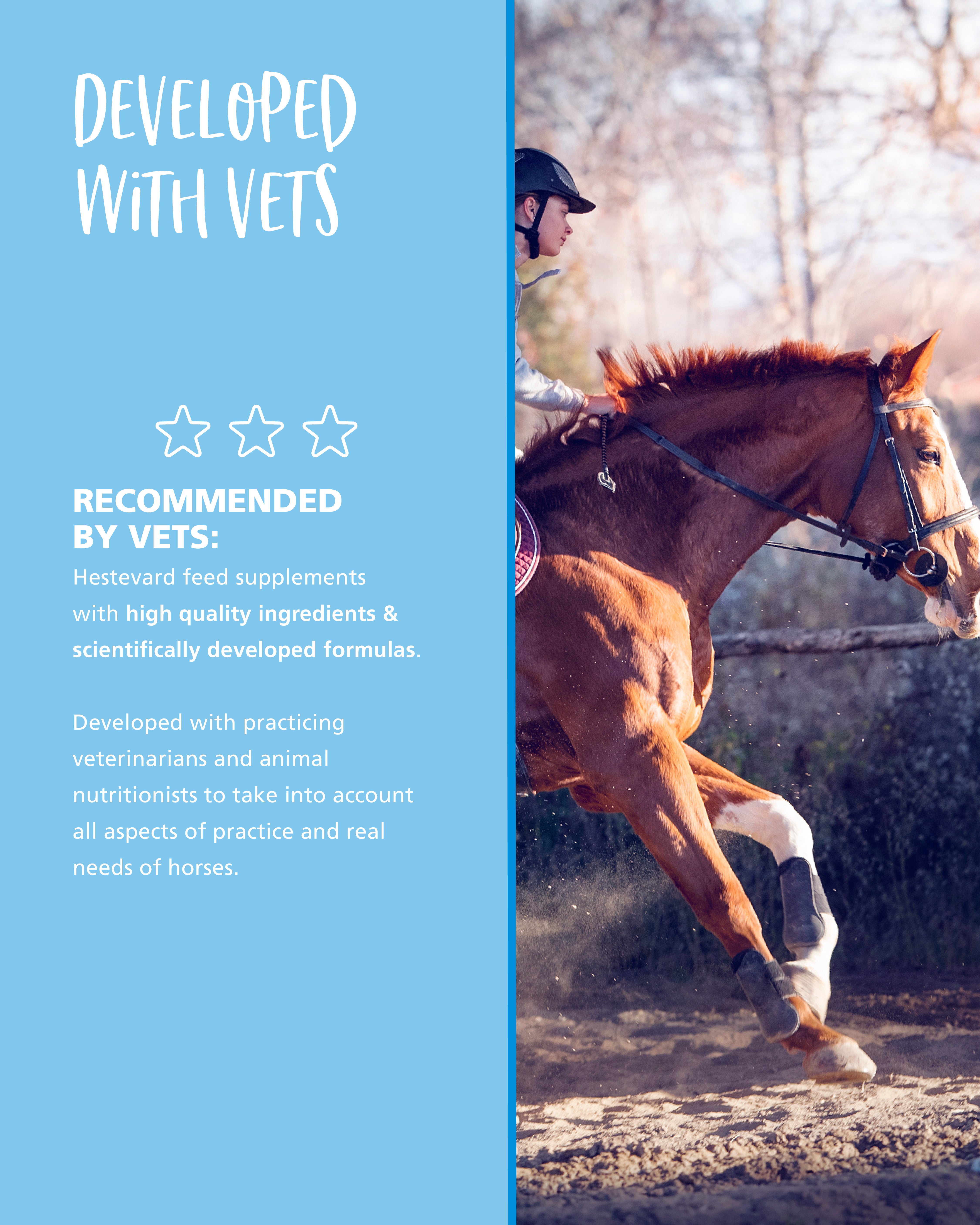 Hestevard Myocel +VITA