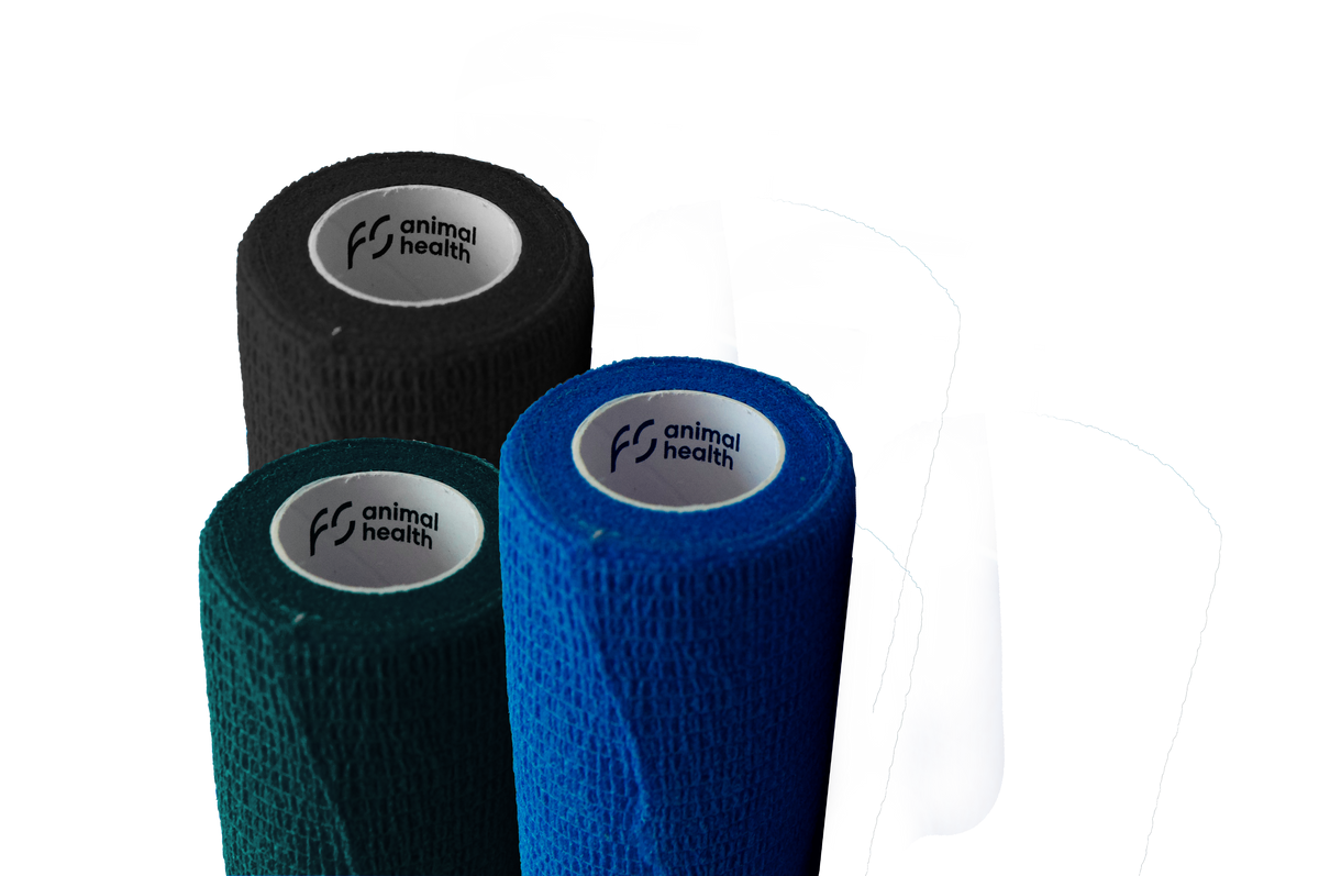 Buy FS PW150 bandages ⇒ for horses | FS animal health