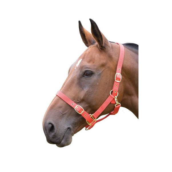 Chester Nylon Headcollar