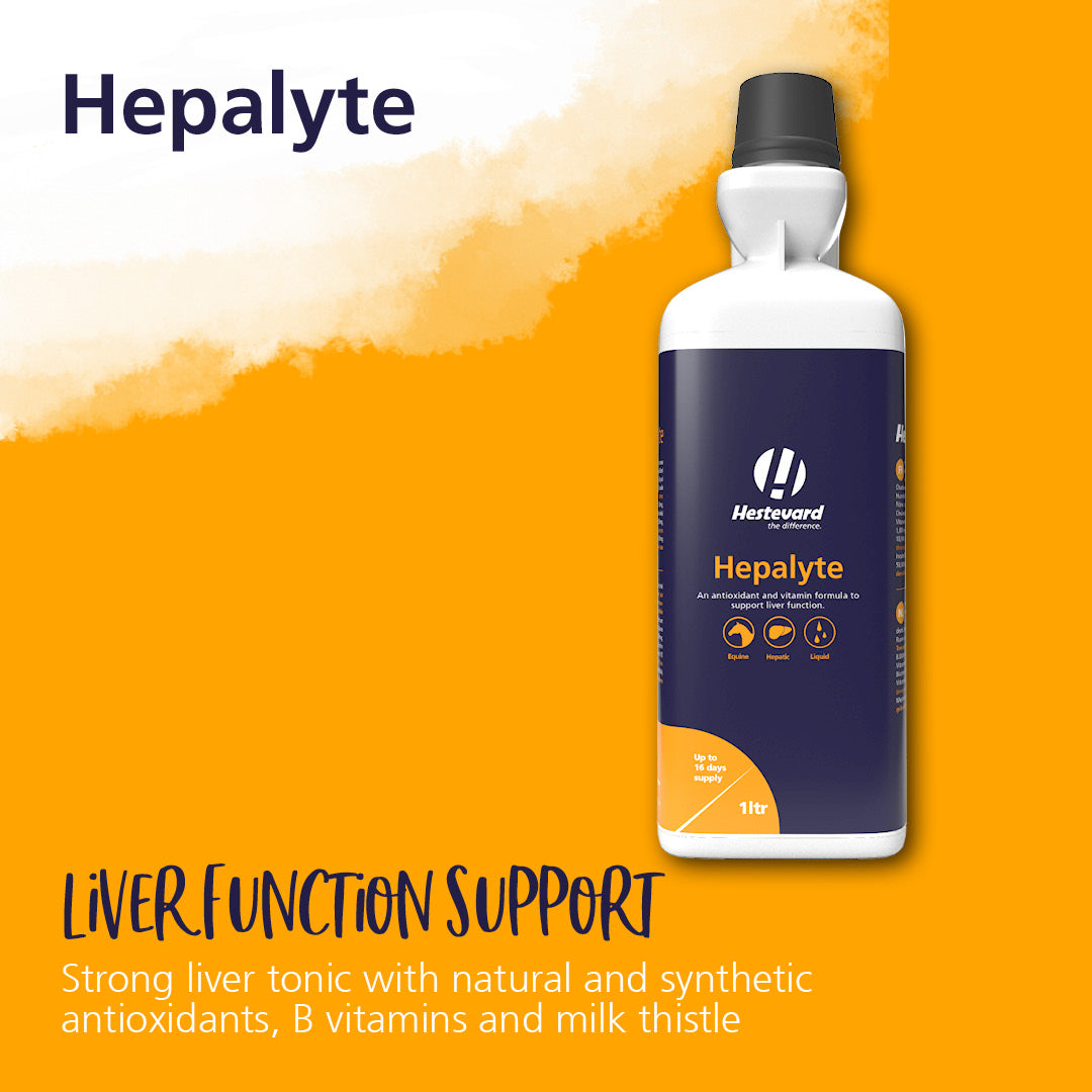 Hestevard Hepalyte