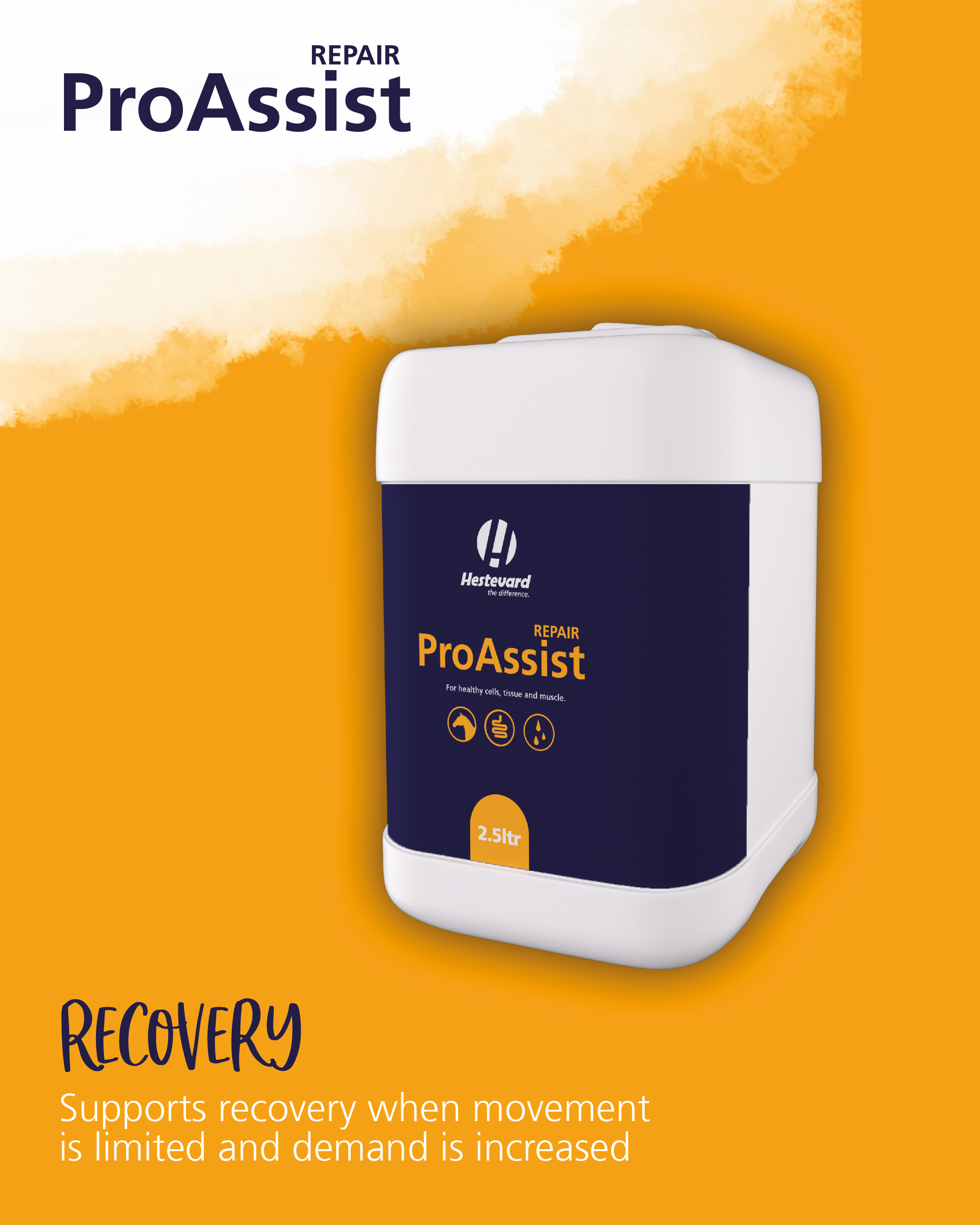 Hestevard ProAssist Repair 2.5L