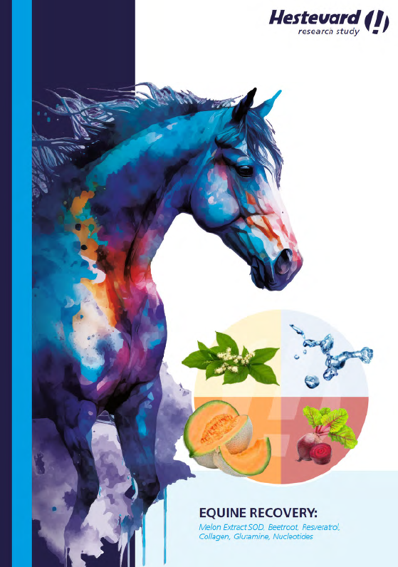 EQUINE RECOVERY: