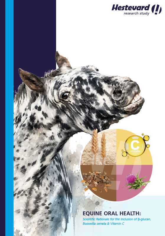 EQUINE ORAL HEALTH: