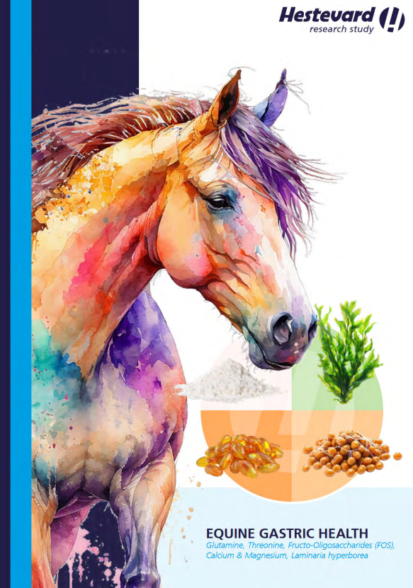 EQUINE GASTRIC HEALTH: