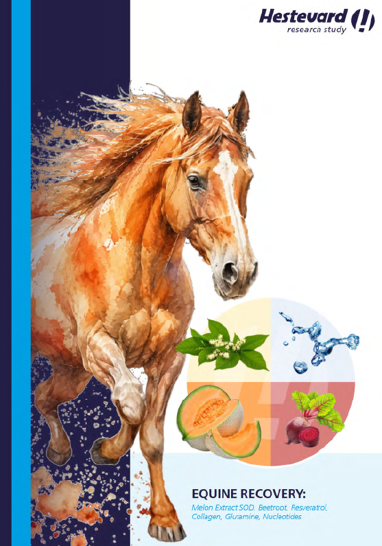 EQUINE RECOVERY: