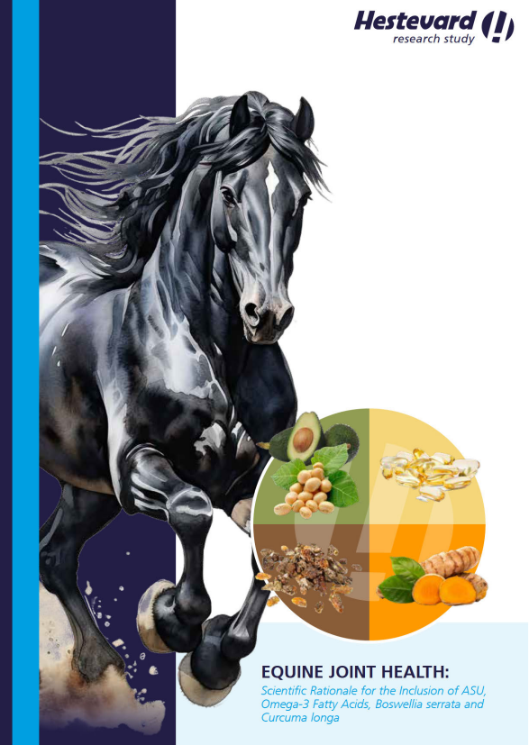 EQUINE JOINT HEALTH 1: