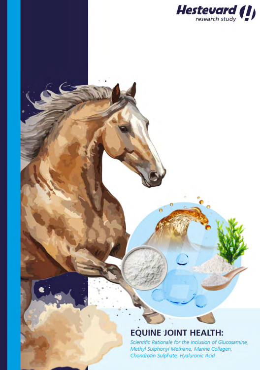 EQUINE JOINT HEALTH 2: