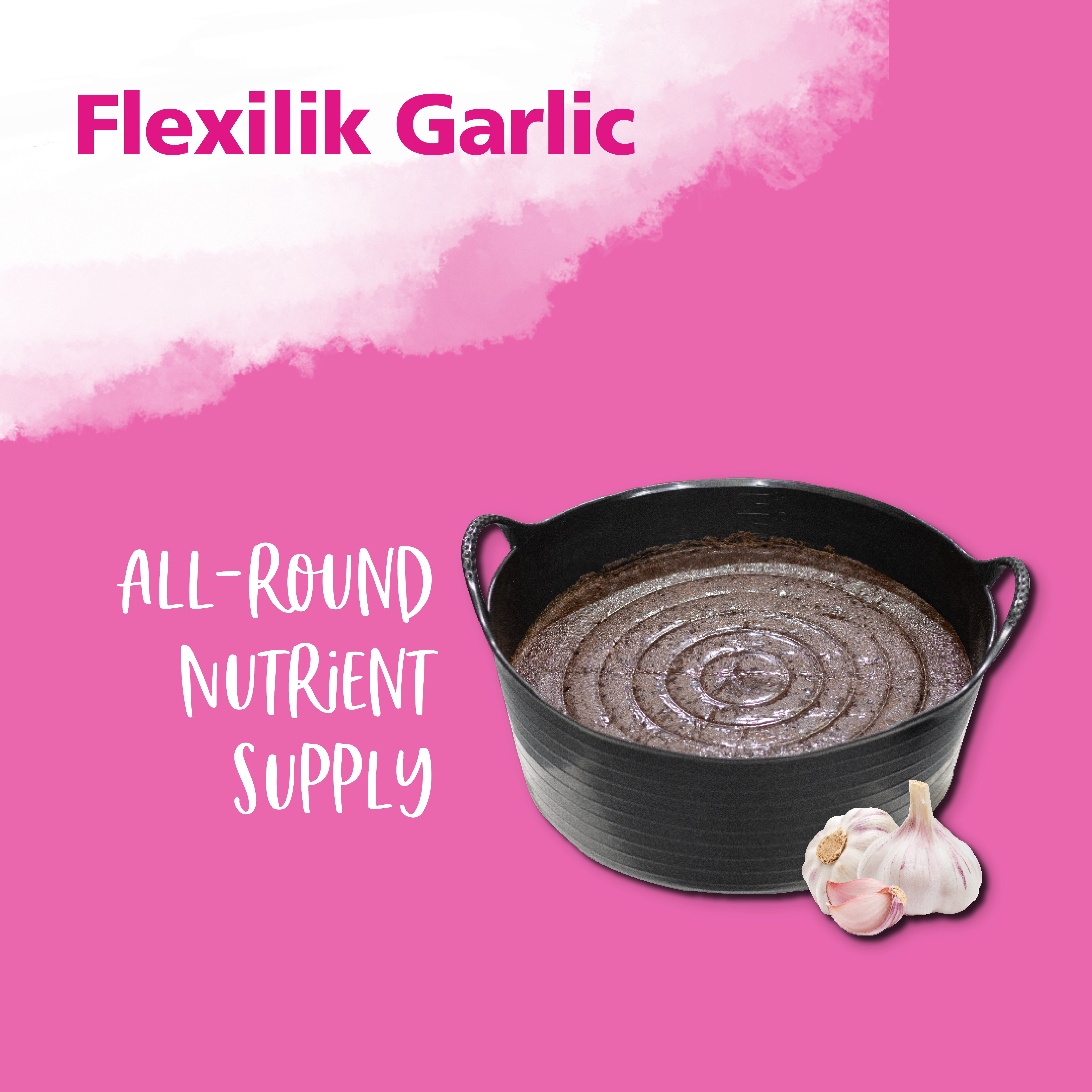 Hestevard Flexilik with Garlic 12.5kg