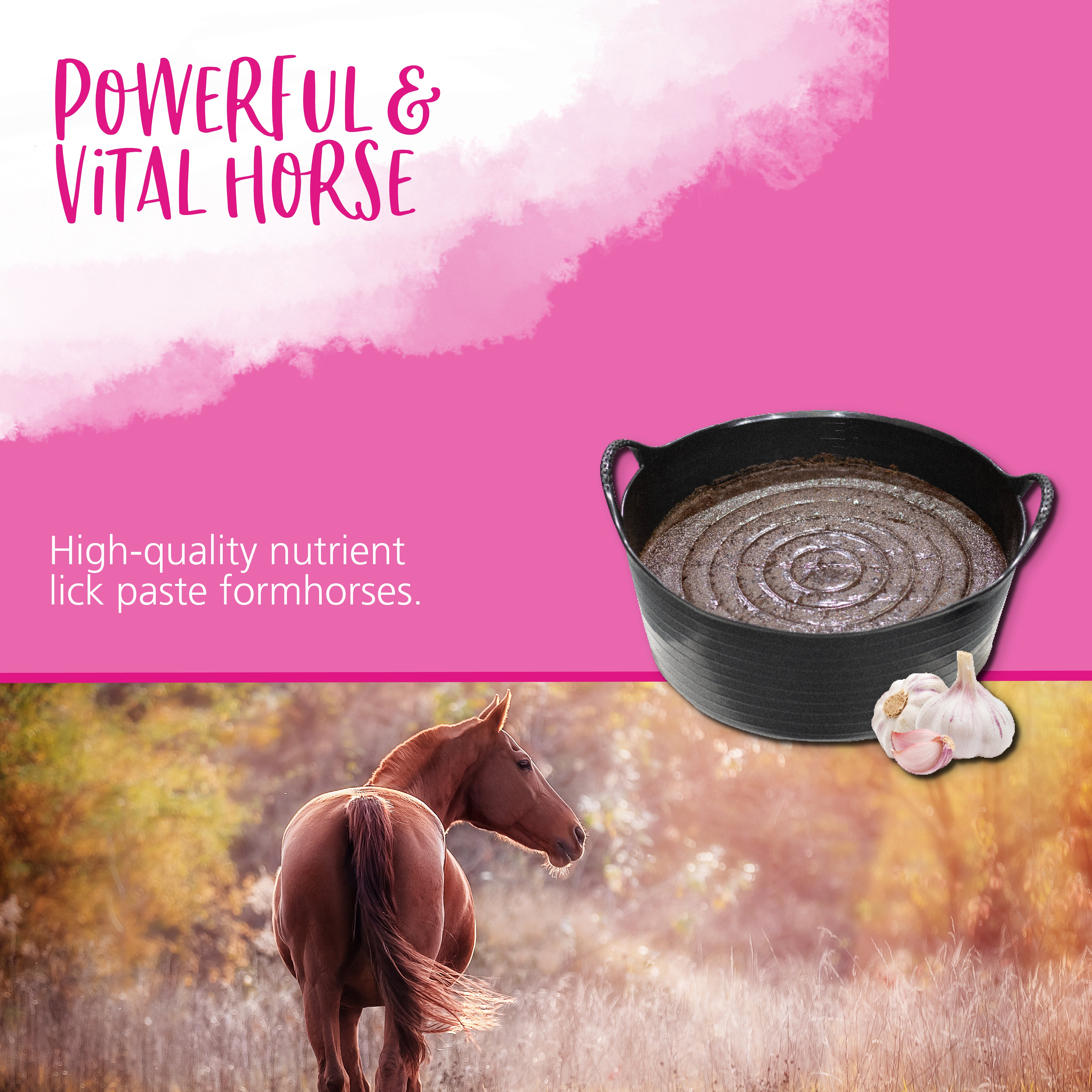 Hestevard Flexilik with Garlic 12.5kg