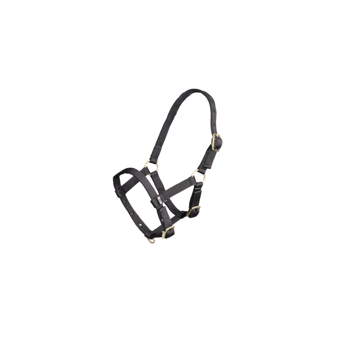 Foal Nylon Headcollar, Black