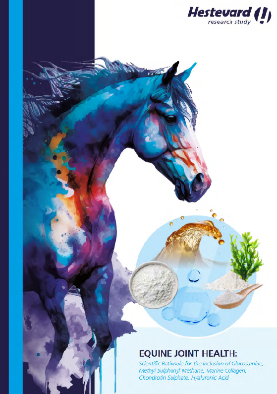 EQUINE JOINT HEALTH 2:
